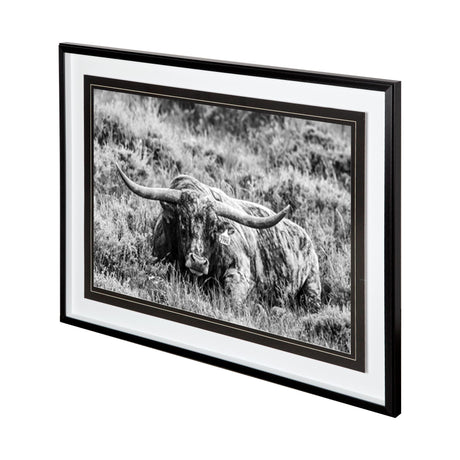 B&W Longhorn III by Tyler Stockton a Framed Photo Art Print Matted under Glass from Mercana - Luna Furniture