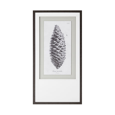Pinus Australis by Maria Mendez a Framed Art Print Matted under Glass from Mercana - Luna Furniture