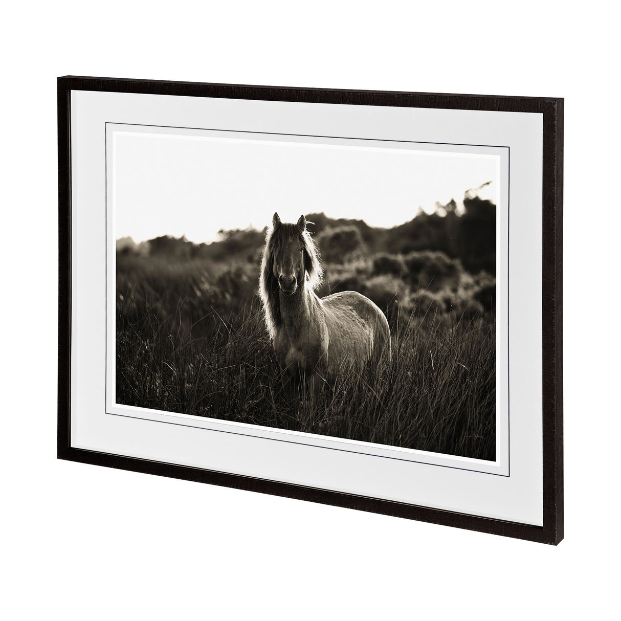 Evening Glow by Mercana Studio a Hand Embelished Textured Framed Photo Art Print Matted under Glass from Mercana - Luna Furniture