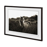 Evening Glow by Mercana Studio a Hand Embelished Textured Framed Photo Art Print Matted under Glass from Mercana - Luna Furniture