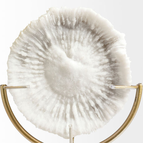 Sandy III (Large) 8L x 4W White Coastal Sand Dollar Object from Mercana - Luna Furniture