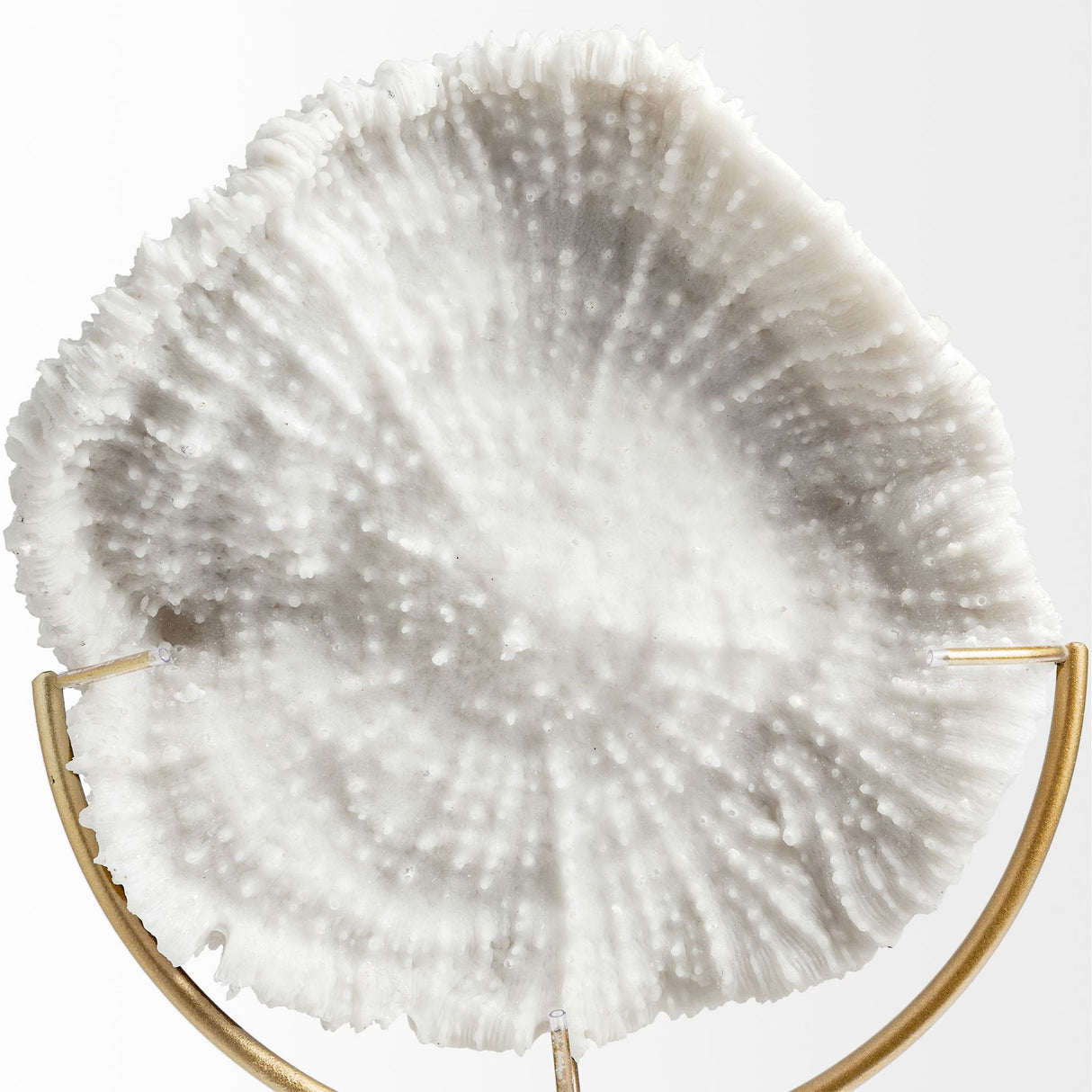 Sandy I (Small) 6L x 3W White Coastal Sand Dollar Object from Mercana - Luna Furniture