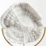 Sandy I (Small) 6L x 3W White Coastal Sand Dollar Object from Mercana - Luna Furniture
