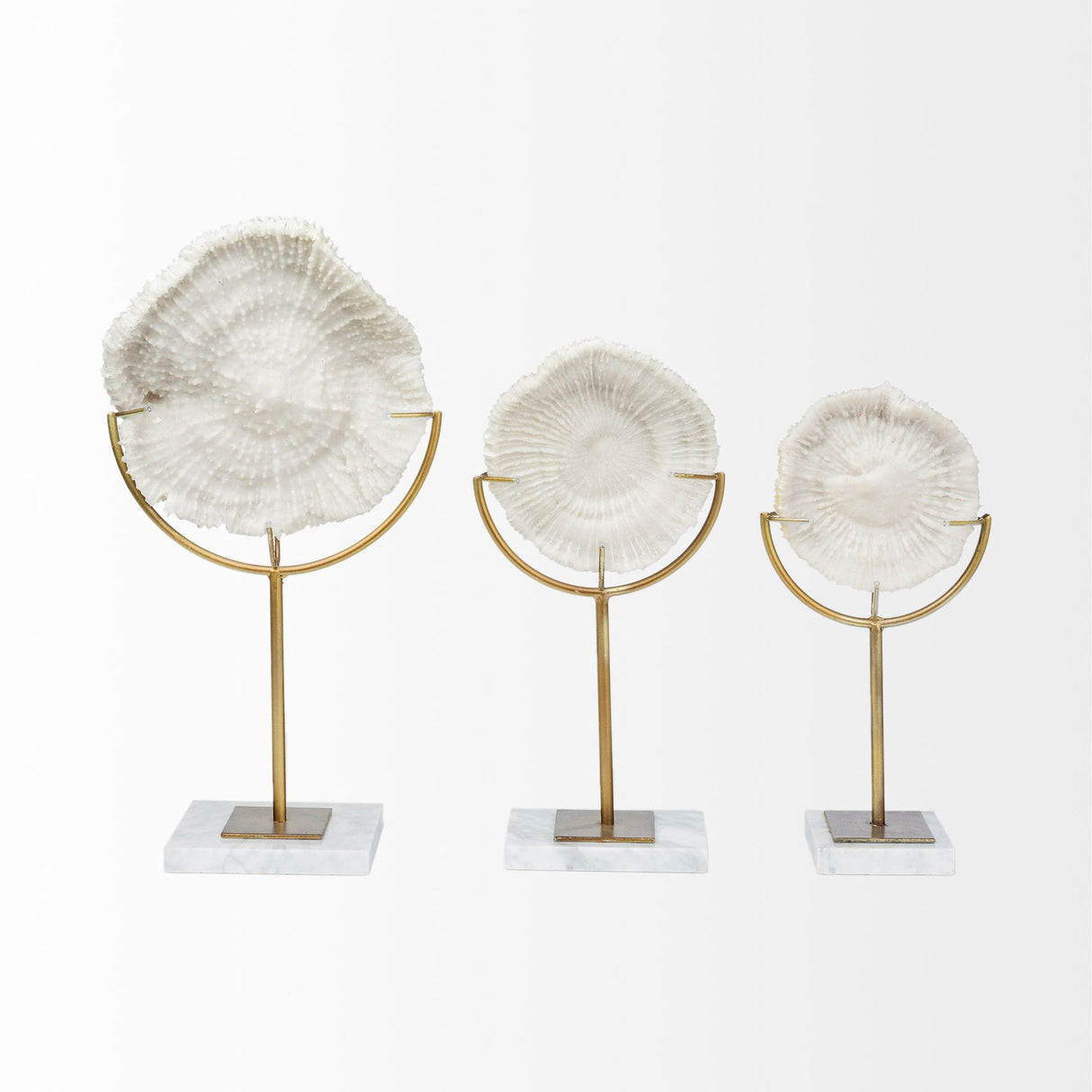 Sandy II (Medium) 6L x 3W White Coastal Sand Dollar Object from Mercana - Luna Furniture