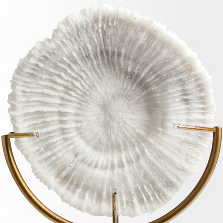 Sandy II (Medium) 6L x 3W White Coastal Sand Dollar Object from Mercana - Luna Furniture