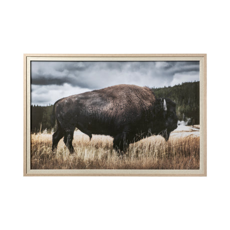 Yellowstone Bison by Dunker a Framed Photo Art Print Matted under Glass from Mercana - Luna Furniture