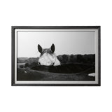 Flirt by Aledanda a Framed Photo Art Print Matted under Glass from Mercana - Luna Furniture