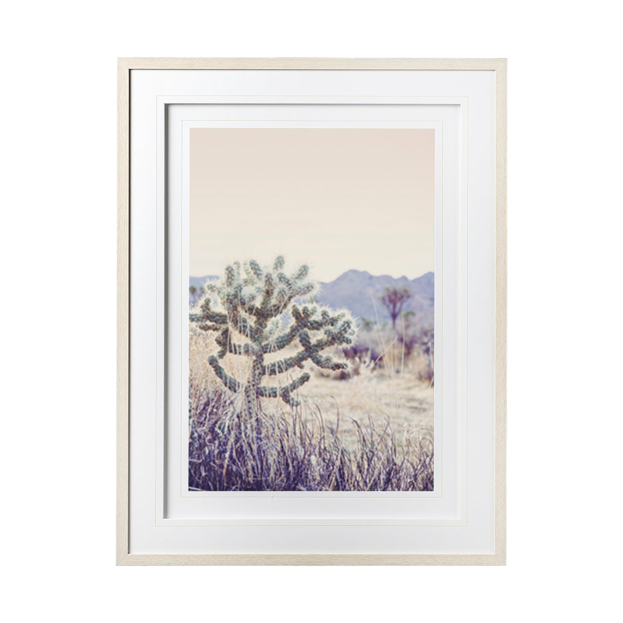 Arid Rose by Irene Suchocki a Hand Embellished Textured Framed Art Photograph Matted under Glass from Mercana - Luna Furniture