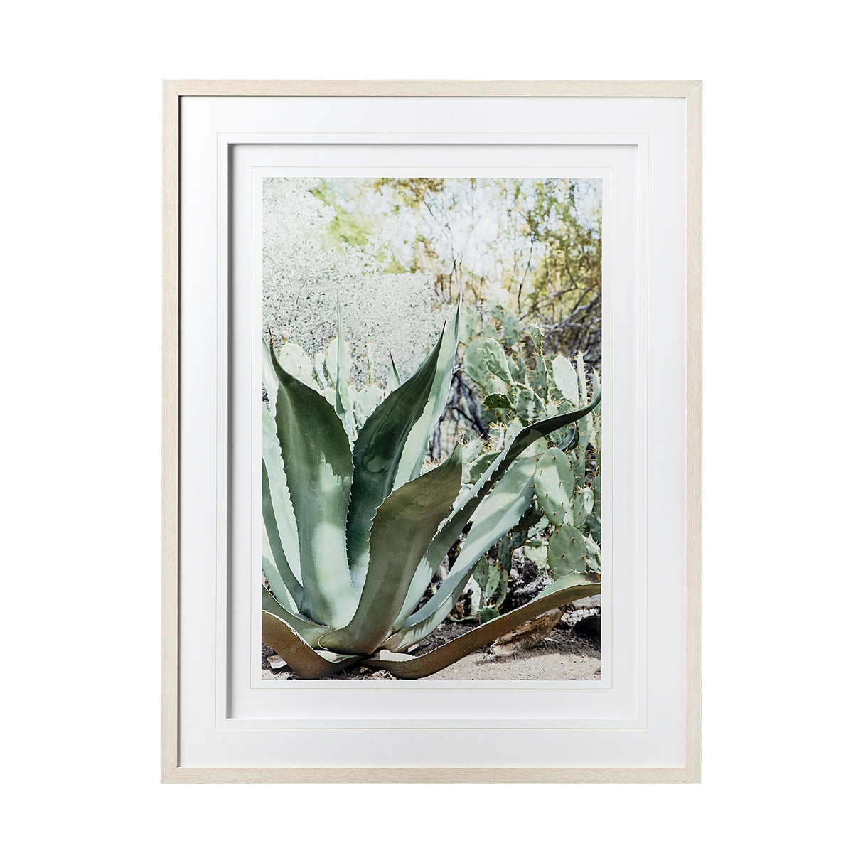 Alzira by Irene Suchocki a Hand Embellished Textured Framed Art Photograph Matted under Glass from Mercana - Luna Furniture
