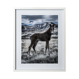 Horse 3 by Dunker a Framed Photo Art Print Matted under Glass from Mercana - Luna Furniture