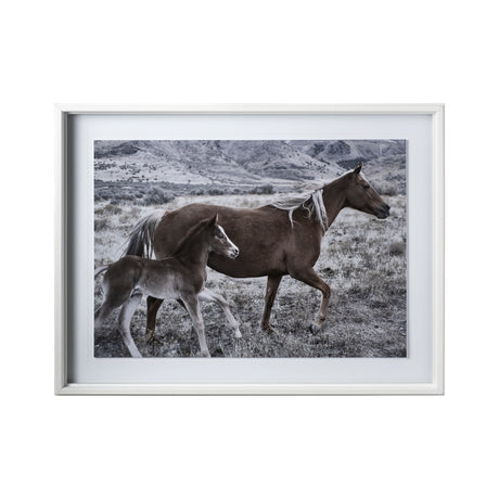 Horse 2 by Dunker a Framed Photo Art Print Matted under Glass from Mercana - Luna Furniture