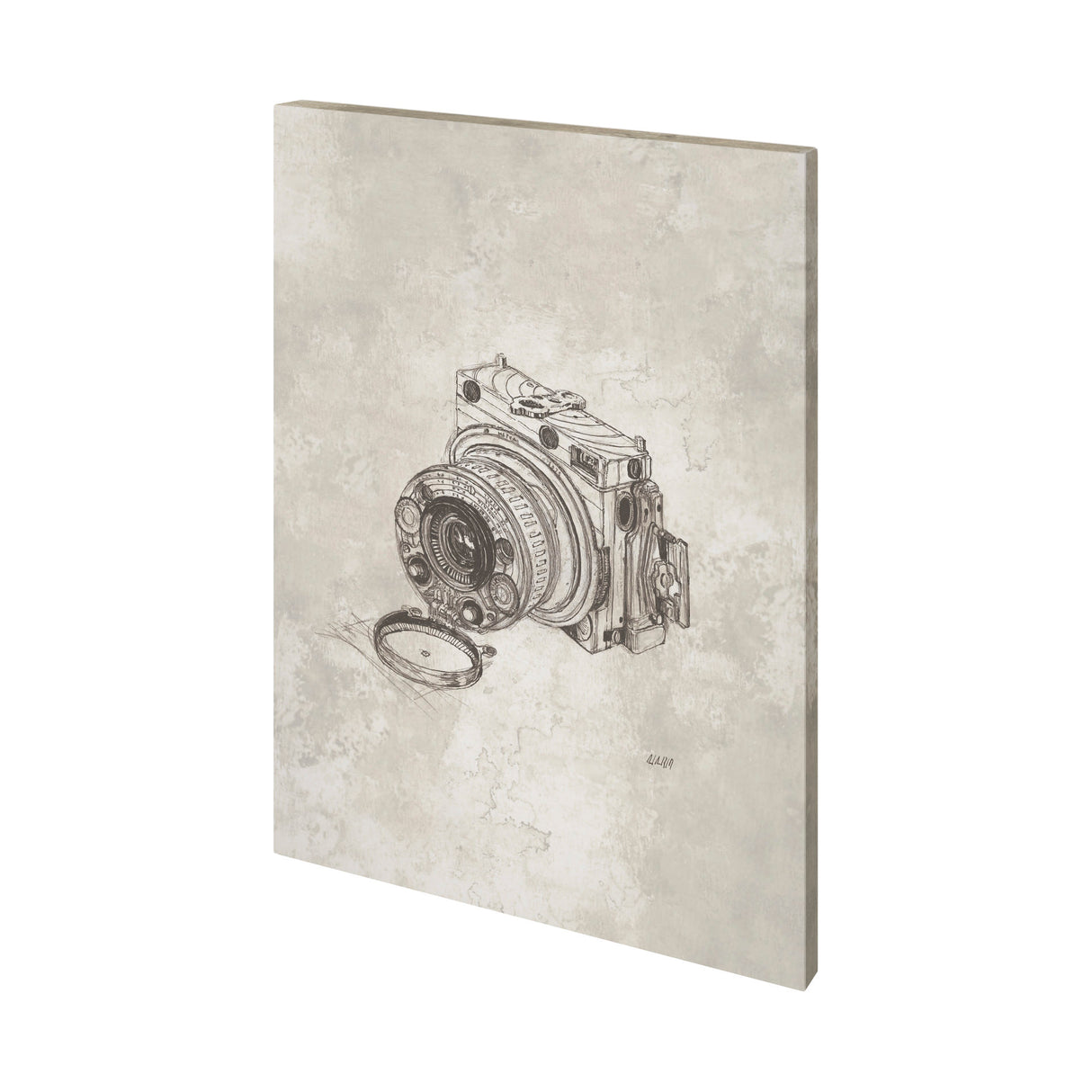 Compass Camera Bronze I by Mercana Studio a Hand Embellished Textured Canvas from Mercana - Luna Furniture