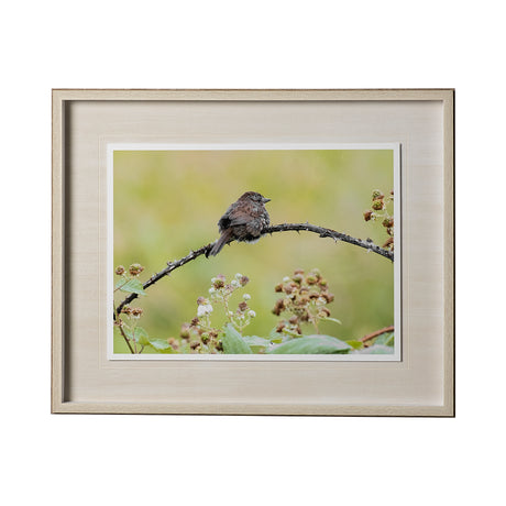 untitled by Nancy Crowell a Framed Photo Art Print Matted under Glass from Mercana - Luna Furniture