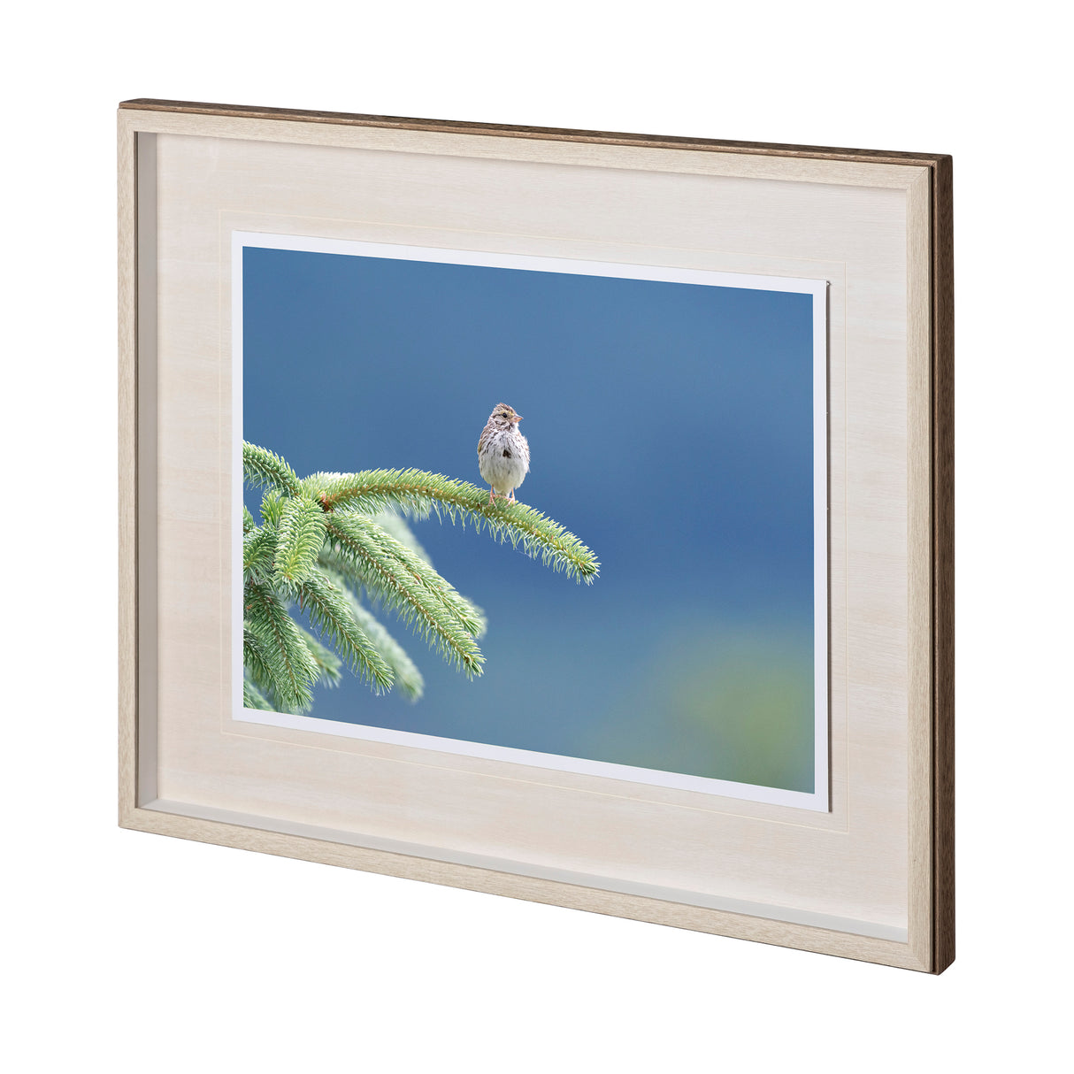 untitled by Nancy Crowell a Framed Photo Art Print Matted under Glass from Mercana - Luna Furniture