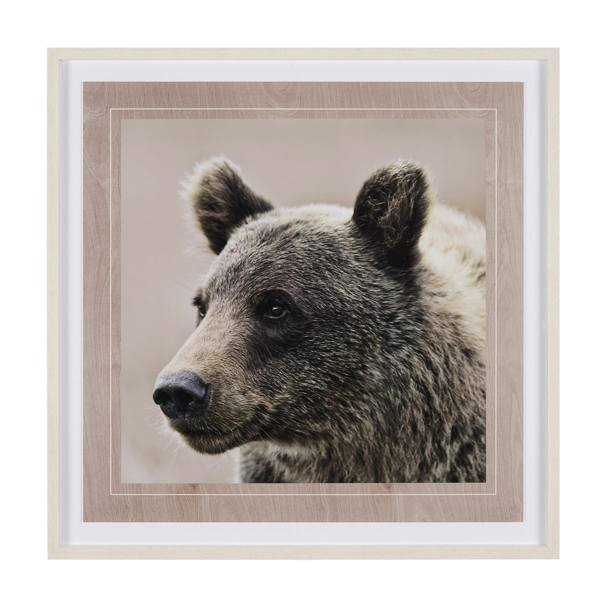 Bear Focus - Hush by Wink Gaines a Hand Embelished Textured Framed Art Photo Matted under Glass from Mercana - Luna Furniture