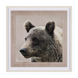 Bear Focus - Hush by Wink Gaines a Hand Embelished Textured Framed Art Photo Matted under Glass from Mercana - Luna Furniture