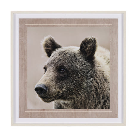 Bear Focus - Hush by Wink Gaines a Hand Embelished Textured Framed Art Photo Matted under Glass from Mercana - Luna Furniture