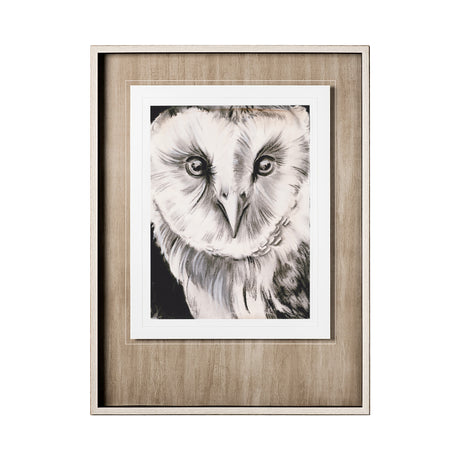 Charcoal Owl II by Jennifer Paxton Parker a Framed Art Print Matted under Glass from Mercana - Luna Furniture