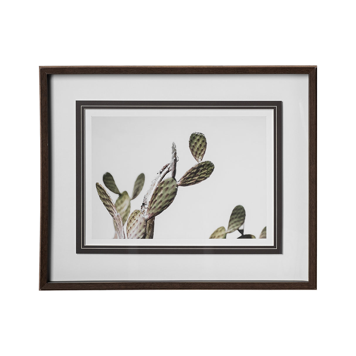 AZ Botanical 37 by Dunker a Framed Art Print Matted under Glass from Mercana - Luna Furniture