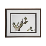 AZ Botanical 37 by Dunker a Framed Art Print Matted under Glass from Mercana - Luna Furniture