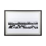 Water Horses III by PHBurchett a Framed Photo Art Print Matted under Glass from Mercana - Luna Furniture