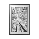 Looking Up I BW by Mercana Studio a Hand Embellished Textured Framed Photo Art Print Matted under Gl from Mercana - Luna Furniture