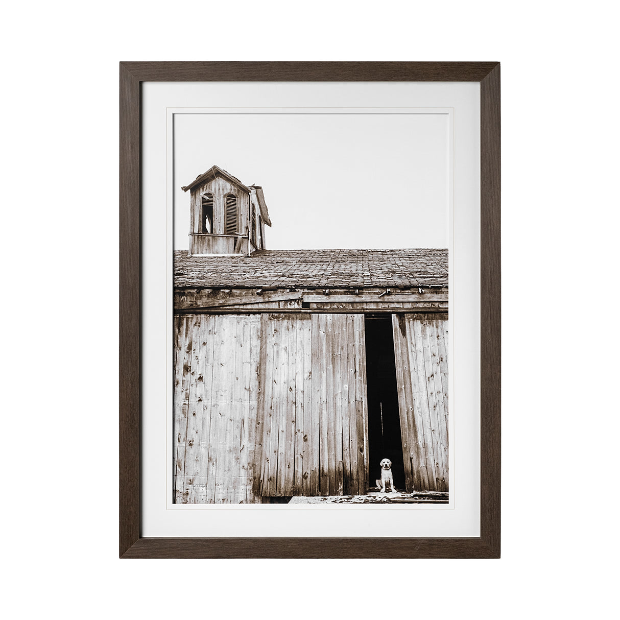 Barnyard Dog v2 by Mercana Studio a Framed Photo Art Print Matted under Glass from Mercana - Luna Furniture