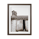 Barnyard Dog v2 by Mercana Studio a Framed Photo Art Print Matted under Glass from Mercana - Luna Furniture