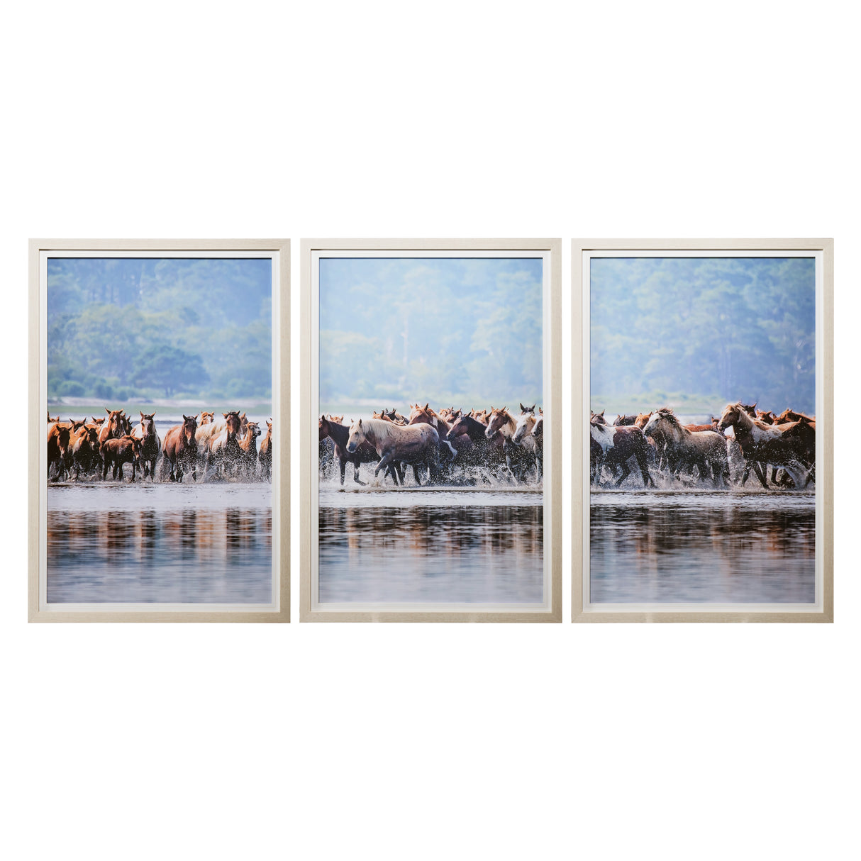Water Horses II C by PHBurchett a Framed Photo Art Print Matted under Glass from Mercana - Luna Furniture