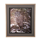 Owl in the Snow by PHBurchett a Framed Photo Art Print Matted under Glass from Mercana - Luna Furniture