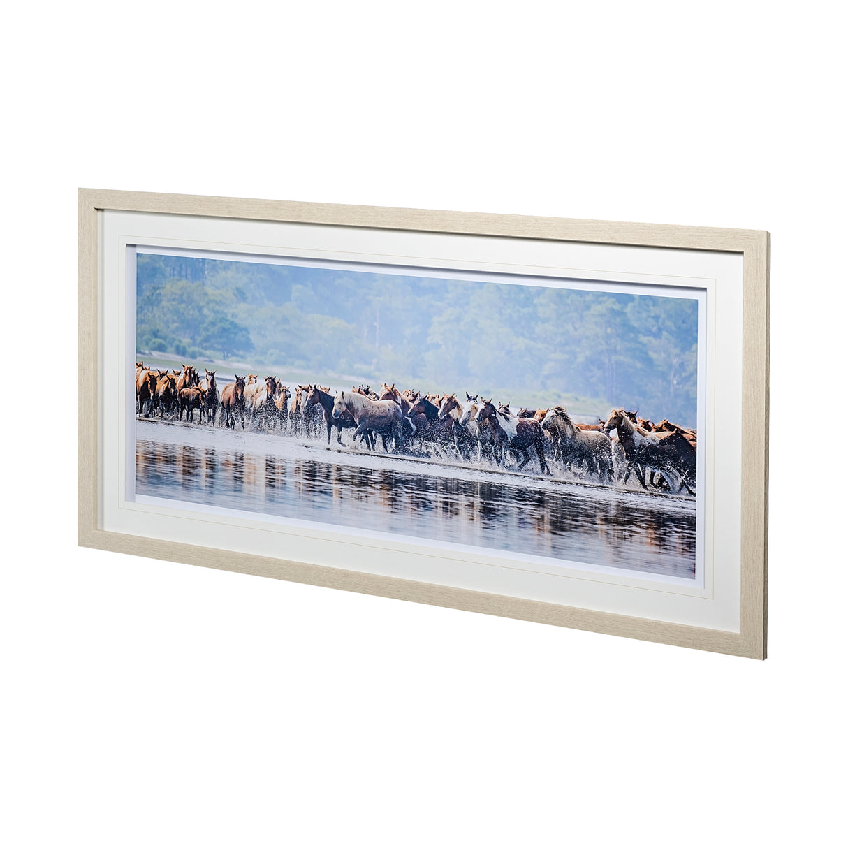 Water Horses II by PHBurchett a Framed Photo Art Print Matted under Glass from Mercana - Luna Furniture