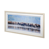 Water Horses II by PHBurchett a Framed Photo Art Print Matted under Glass from Mercana - Luna Furniture