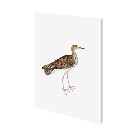 Bhegondee Snipe by Maria Mendez a Hand Embellished Textured Canvas from Mercana - Luna Furniture