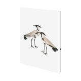 Spur-Winged Plover by Maria Mendez a Hand Embellished Textured Canvas from Mercana - Luna Furniture