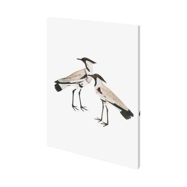 Spur-Winged Plover by Maria Mendez a Hand Embellished Textured Canvas