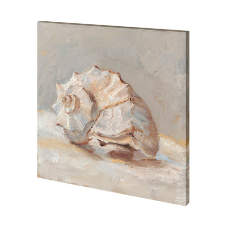 Impressionist Shell Study II by Mercana Studio a Hand Embellished Textured Canvas from Mercana - Luna Furniture