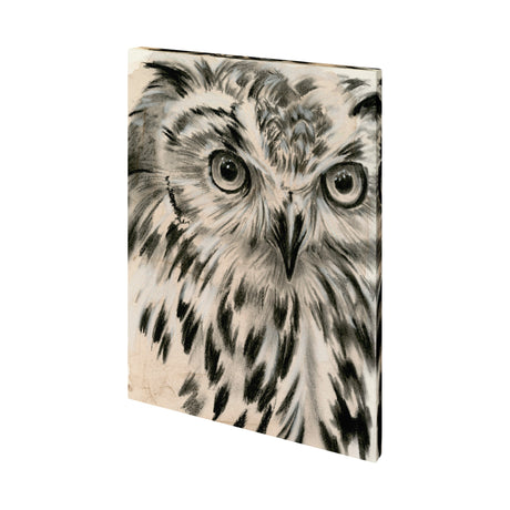 Charcoal Owl I by Jennifer Paxton Parker a Hand Embellished Textured Canvas from Mercana - Luna Furniture