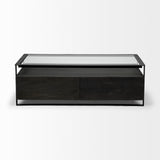 Vidro 54x30 Rectangular Glass Top Black Solid Wood Drawers & Black Frame Coffee Table from Mercana - Luna Furniture