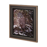 Owl in the Snow by PHBurchett a Framed Photo Art Print Matted under Glass from Mercana - Luna Furniture