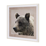 Bear Focus - Hush by Wink Gaines a Hand Embelished Textured Framed Art Photo Matted under Glass from Mercana - Luna Furniture