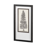 Pacific North West Tree Sketch I by Melissa Wang Hand Embellished Framed Art Print Matted under Glas from Mercana - Luna Furniture