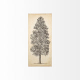 Pacific North West Tree Sketch III by Melissa Wang a Hand Embellished Textured Canvas from Mercana - Luna Furniture