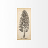 Pacific North West Tree Sketch II by Melissa Wang a Hand Embellished Textured Canvas from Mercana - Luna Furniture