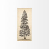 Pacific North West Tree Sketch I by Melissa Wang a Hand Embellished Textured Canvas from Mercana - Luna Furniture