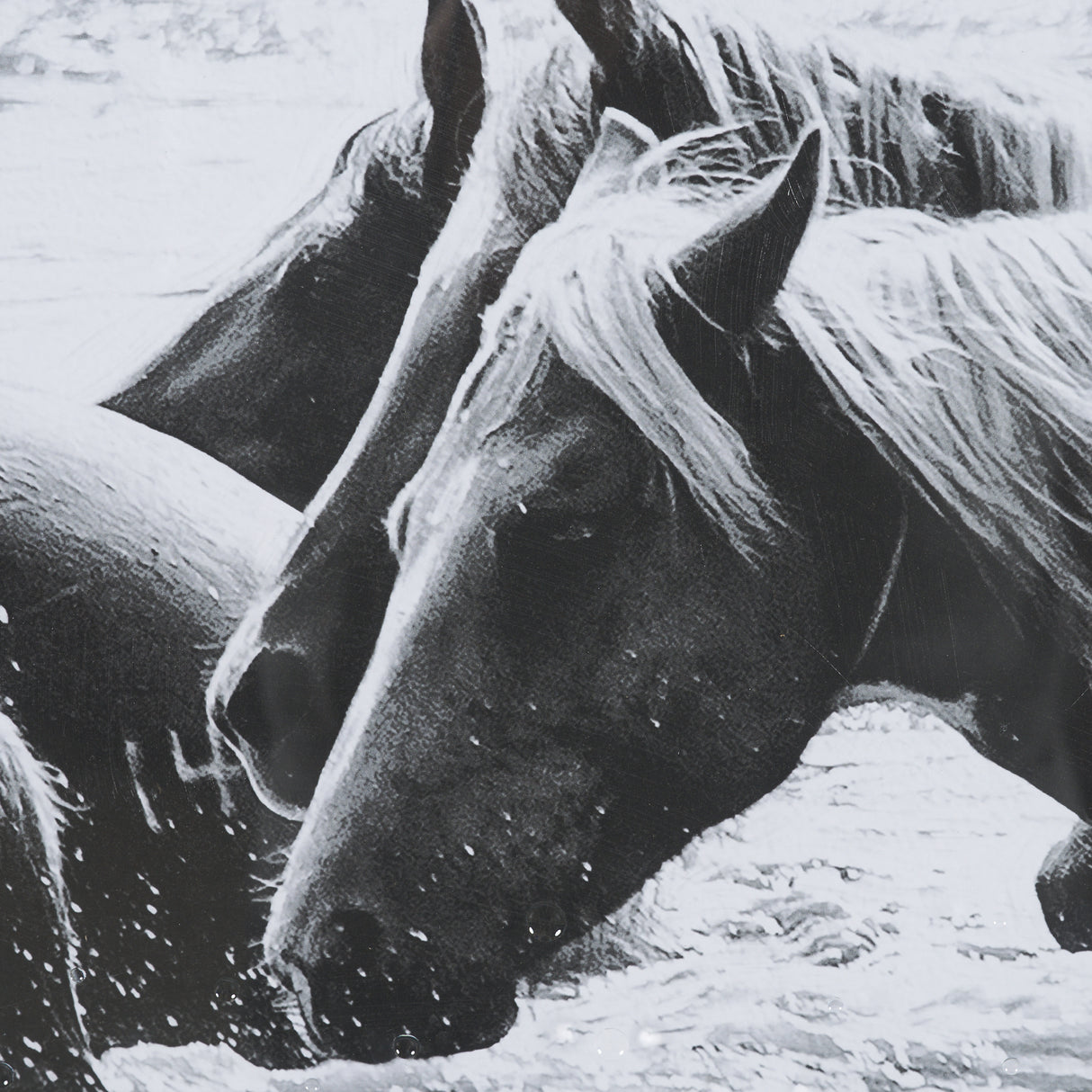 Water Horses III 1 by PH Burchett a Hand Embellished Textured Framed Photo Art Print Matted under Gl from Mercana - Luna Furniture