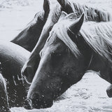 Water Horses III 1 by PH Burchett a Hand Embellished Textured Framed Photo Art Print Matted under Gl from Mercana - Luna Furniture