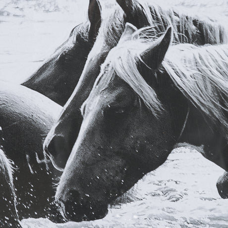 Water Horses III 1 by PH Burchett a Hand Embellished Textured Framed Photo Art Print Matted under Gl from Mercana - Luna Furniture
