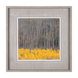 Aspen Trees 4 by Jamie Cook a Hand Embelished Textured Framed Photo Art Print Matted under Glass from Mercana - Luna Furniture