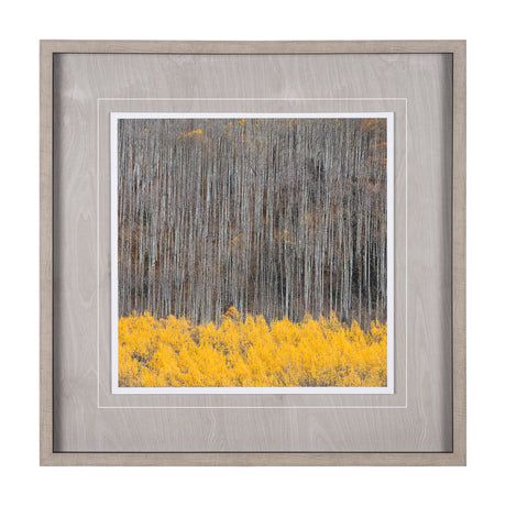 Aspen Trees 4 by Jamie Cook a Hand Embelished Textured Framed Photo Art Print Matted under Glass from Mercana - Luna Furniture