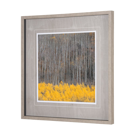 Aspen Trees 4 by Jamie Cook a Hand Embelished Textured Framed Photo Art Print Matted under Glass from Mercana - Luna Furniture